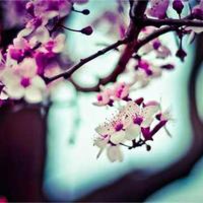 Precision Tools Inc.